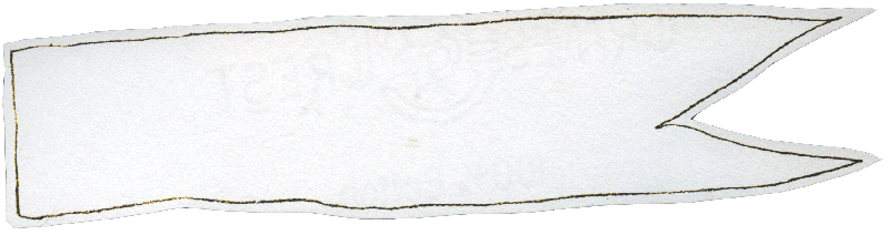 save flag