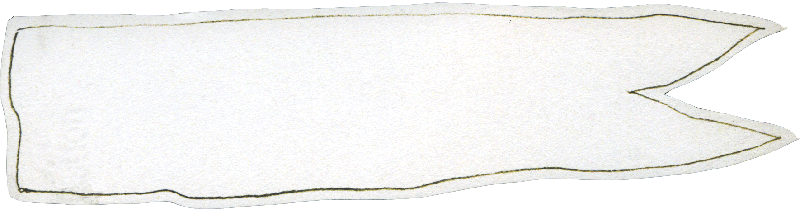 the flag